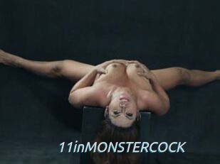 11inMONSTERCOCK