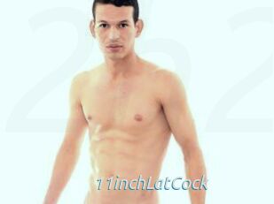 11inchLatCock