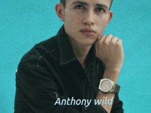 Anthony_wild