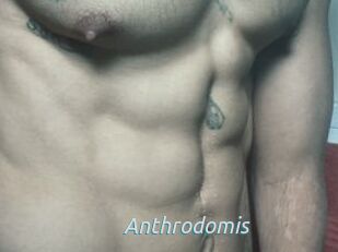 Anthrodomis