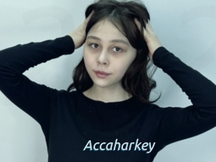 Accaharkey