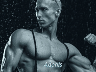 Adonis