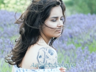 Aerinbaudelaire