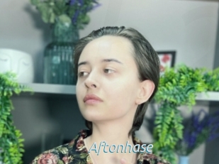 Aftonhase