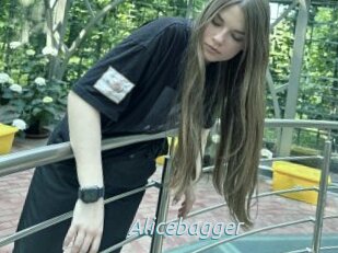 Alicebagger