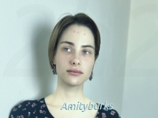 Amityburks