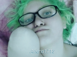 Aneris1718