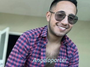Angeloporter