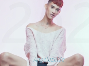 Angelozaide