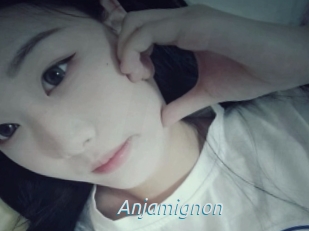 Anjamignon