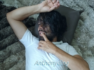 Anthonyding