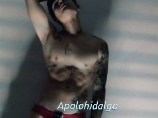 Apolohidalgo