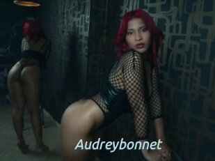 Audreybonnet