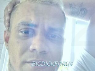 BIGDICKFORU4
