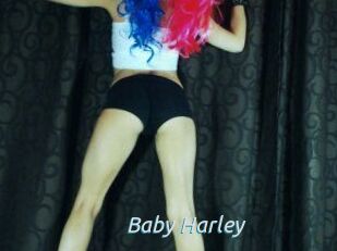 Baby_Harley