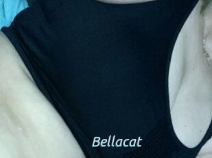 Bella_cat