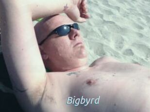 Bigbyrd