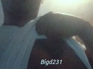 Bigd231