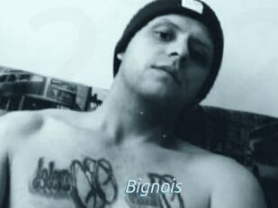 Bignois