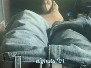 Bignuts101