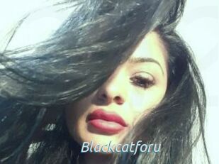 Blackcatforu