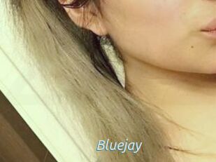 Blue_jay