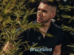 BruceSilva