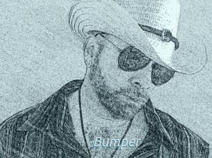 Bumper