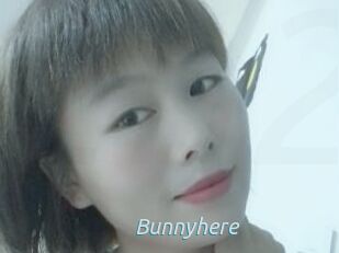 Bunnyhere