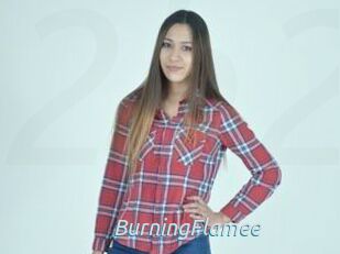 BurningFlamee