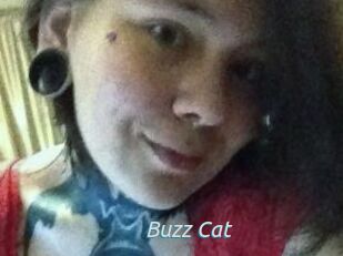 Buzz_Cat