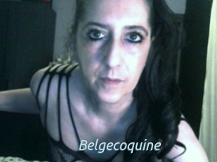 Belgecoquine
