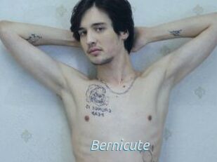 Bernicute