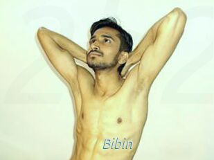 Bibin