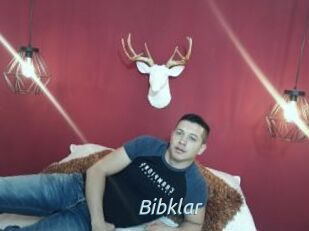 Bibklar
