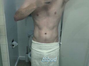 Bibud