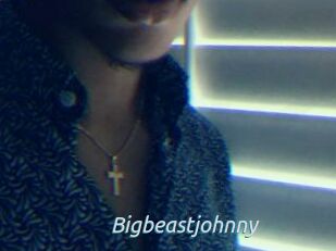 Bigbeastjohnny