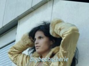 Bigboobscherie