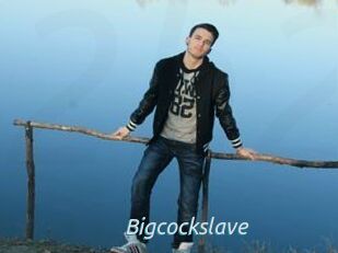 Bigcockslave