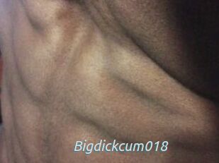 Bigdickcum018