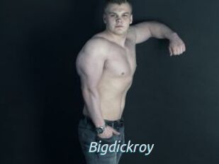 Bigdickroy