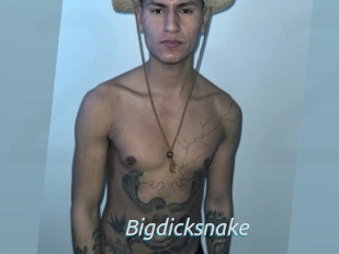 Bigdicksnake