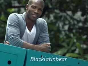 Blacklatinbear