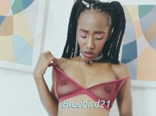 Bluebird21