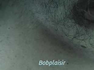 Bobplaisir