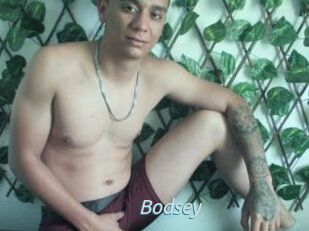 Bodsey