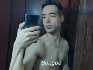 Bongoo