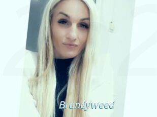 Brandyweed