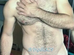 Brbigdick29