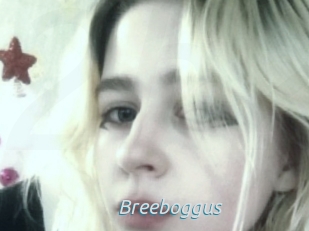 Breeboggus